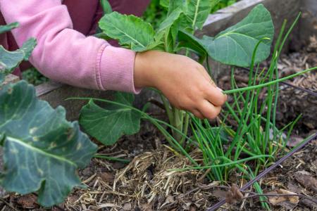 hands and soil.jpg