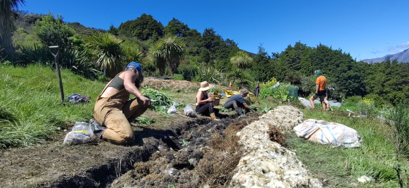 BROOMHILL Contribute